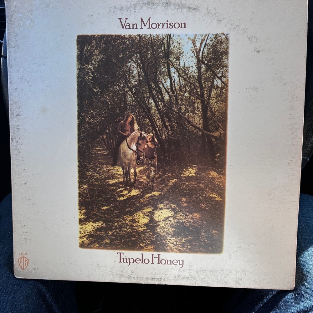 Van Morrison Tupelo Honey Vinyl LP Warner Gatefold Green Label (1971)